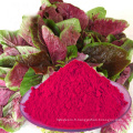 Poudre de colorant alimentaire